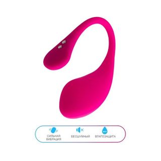 Vibrator