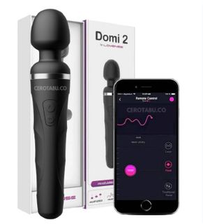 Lovense domi
