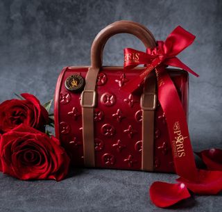 ✨LV Bag✨