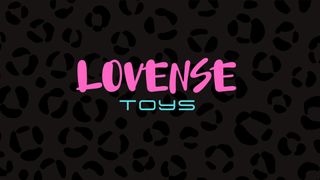 LOVENSE TOY