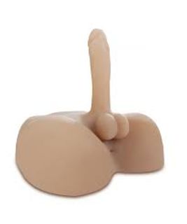 A NEW TORSO