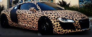 Tiger car)))
