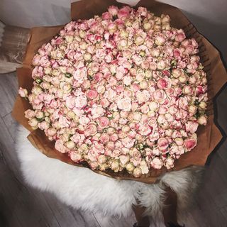 Flowers /Flowers)