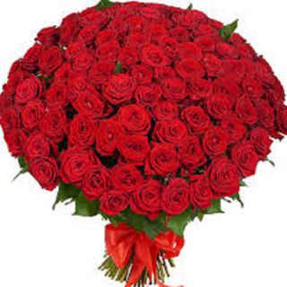 bunch of roses
