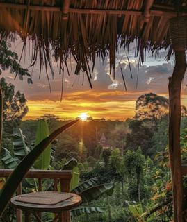travel
