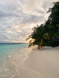 Vacation