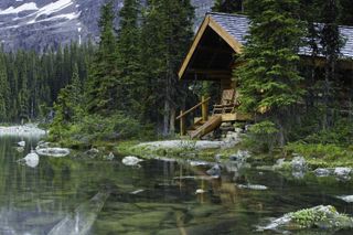 I want a house in the forest.