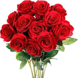 Spoil Me with Roses ?
