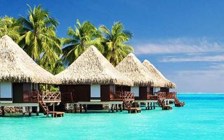 Dream Trip
