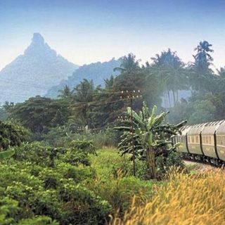 путешествия