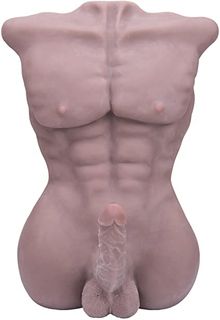 TORSO
