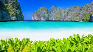 My Dream Vacantion