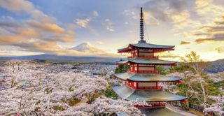 My dream trip!