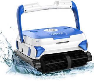 pool cleaner