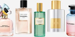 Help me build my fragrance collection