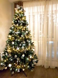 Big Christmas tree