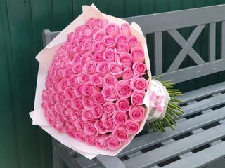 101 roses