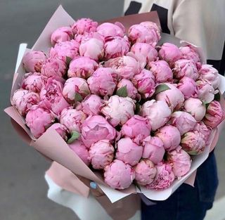Give me Flowers