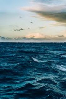 Sea