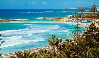 Хочу к акулам)