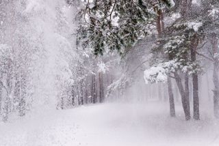 I love winter!