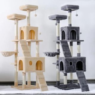 I want to buy a big house for the kittens