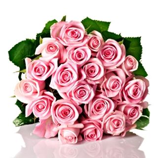 CrazyDaisy wish list item 7 thumbnail