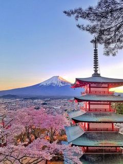 I want to go to Japan
