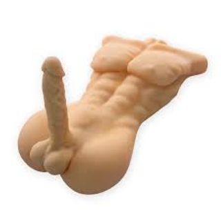 torso