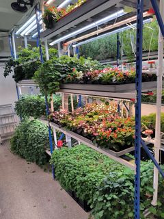 Открыть бизнес по выращиваю растений