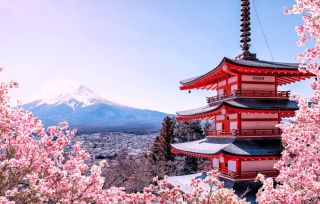 Trip to Japan