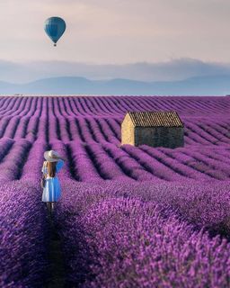 Provence