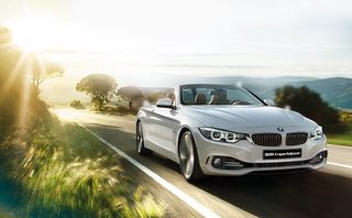 seilyfox wish list item 1 thumbnail