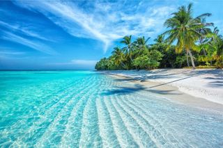 A trip to the beach
