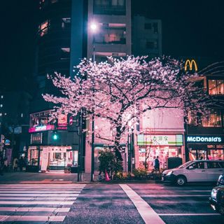 Visit Japan