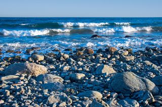 A trip to the sea