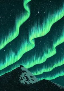 See the Northern Lights