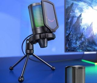 Microphone