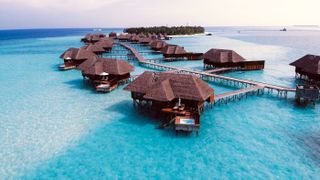 Dream Vacation