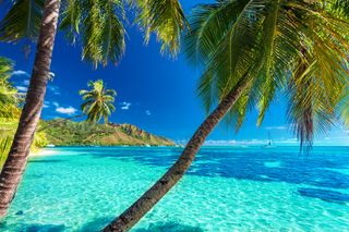 Vacation mood!