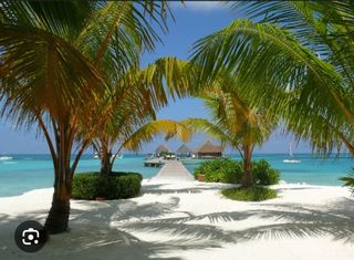 Vacantion