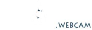 Drochi